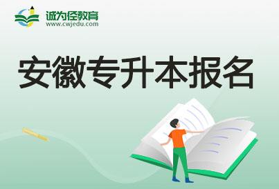 安徽专升本报名入口官网2022(安徽专升本报名入口官网2022时间)