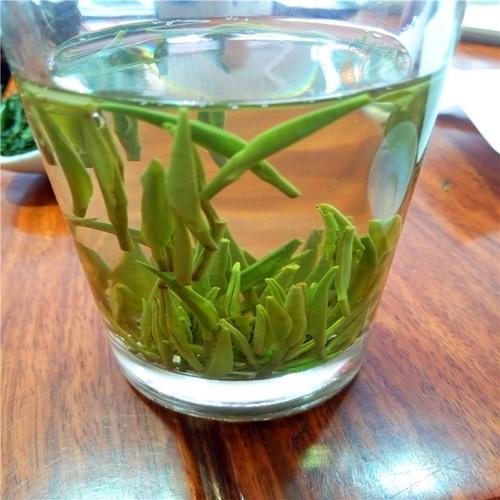 竹叶青茶好吗(竹叶青茶什么样的好)