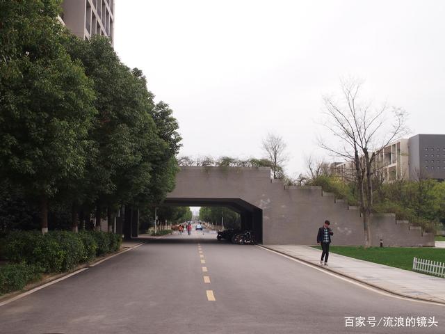 合肥学院示意图(合肥师范学院图标)