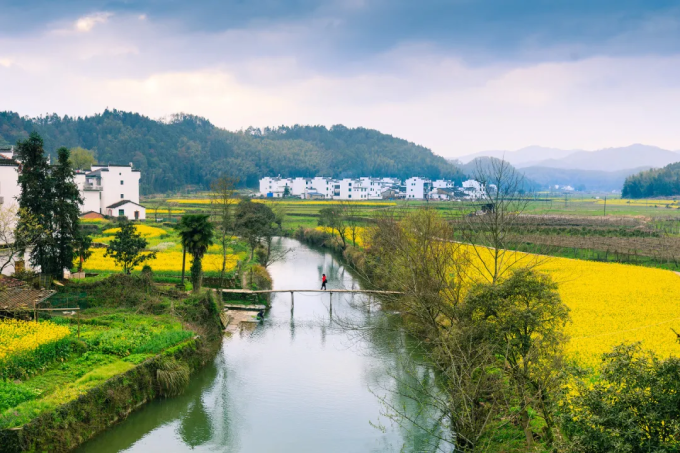 婺源旅游攻略(江西油菜花婺源旅游攻略)