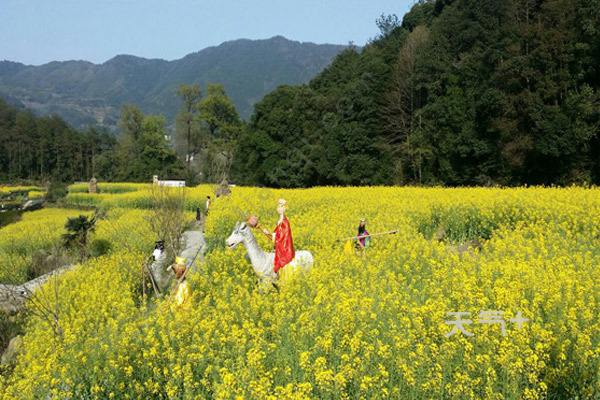 婺源旅游攻略(江西油菜花婺源旅游攻略)