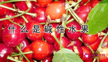 碱性蔬菜水果(碱性蔬菜水果,哪种最强)