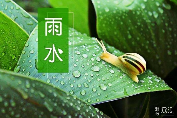 雨水节气吃什么传统食物()