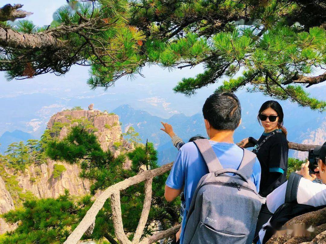 黄山风景区(黄山风景区官网)