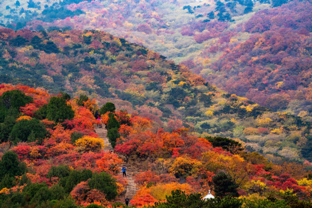 大西山(大西山剿匪记)