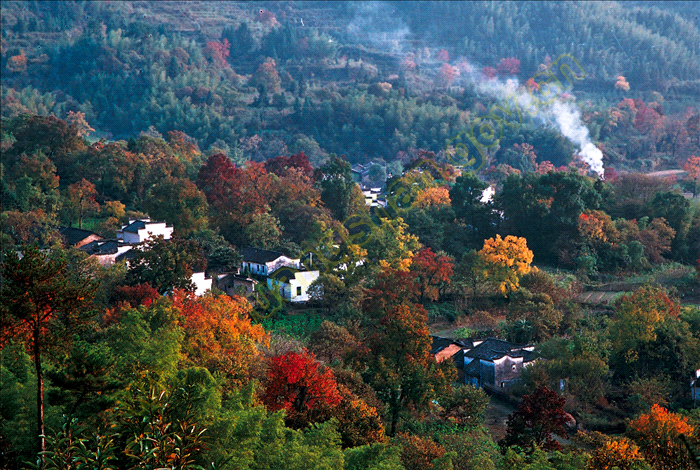 黑多黟县怎么读(先去宏村还是黄山)