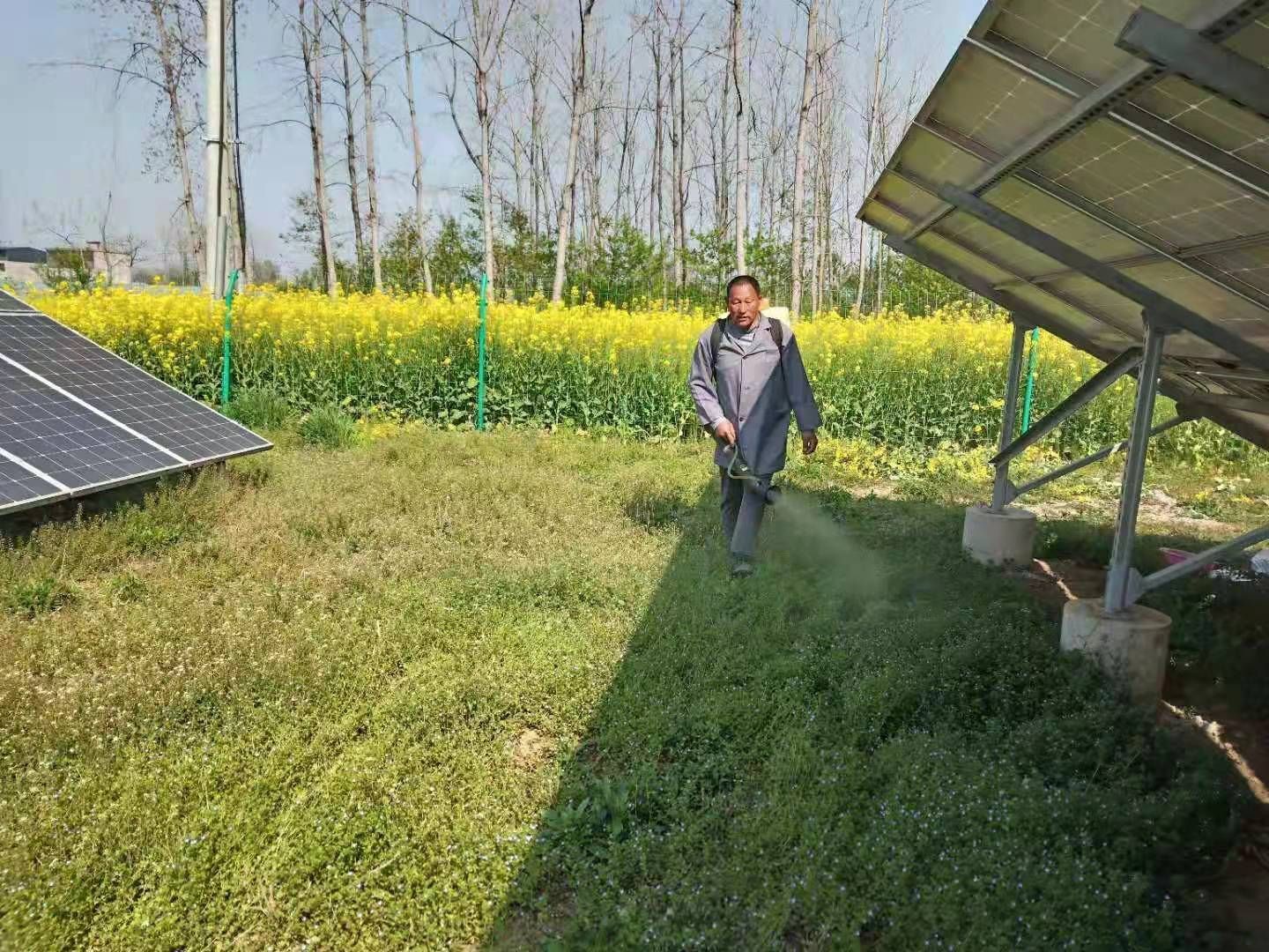 安徽省阜阳市龙能科技()