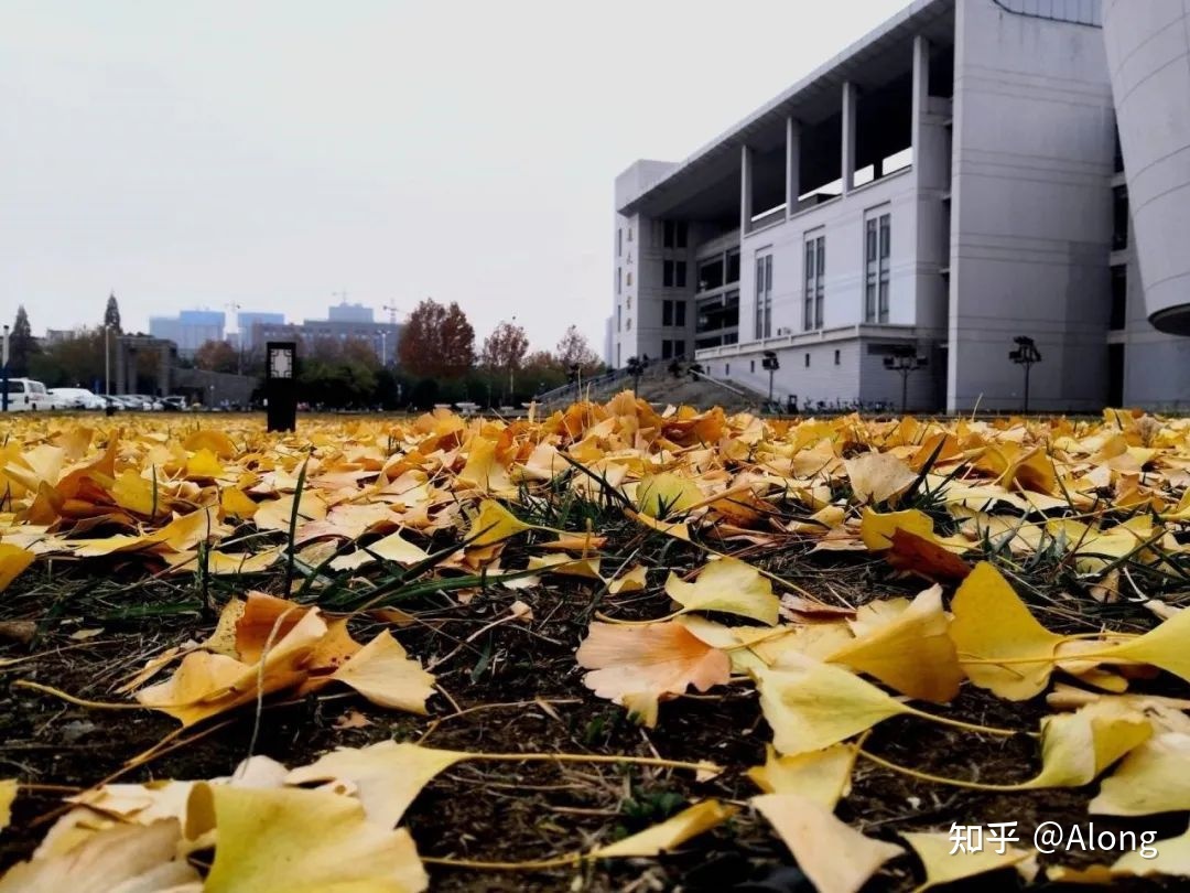 安徽大学真的很不济吗(安徽大学怎么样 网民真实评价)