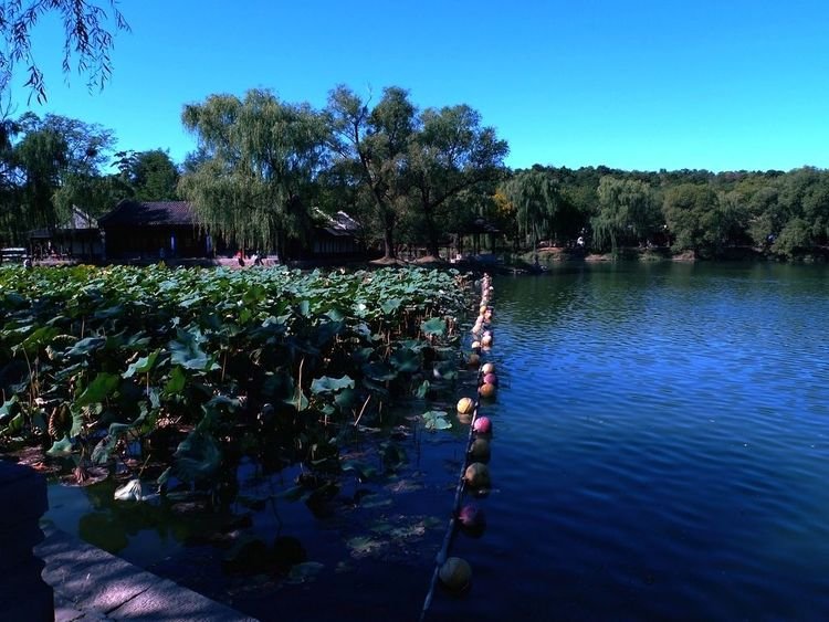 夏天旅游最适合的城市(夏天旅游最适合的城市有哪些)