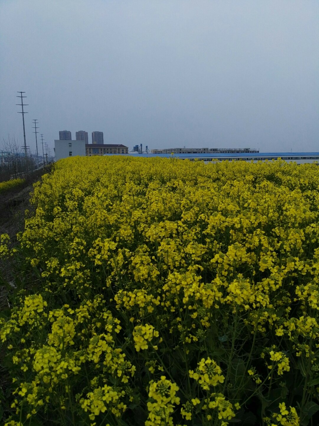 淮南市未来30天天气预报(淮南市未来30天天气预报视频)