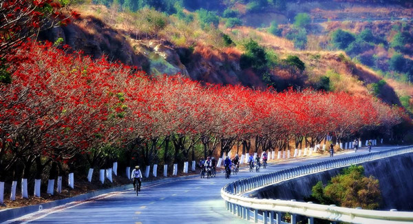 四川攀枝花(四川攀枝花旅游攻略)