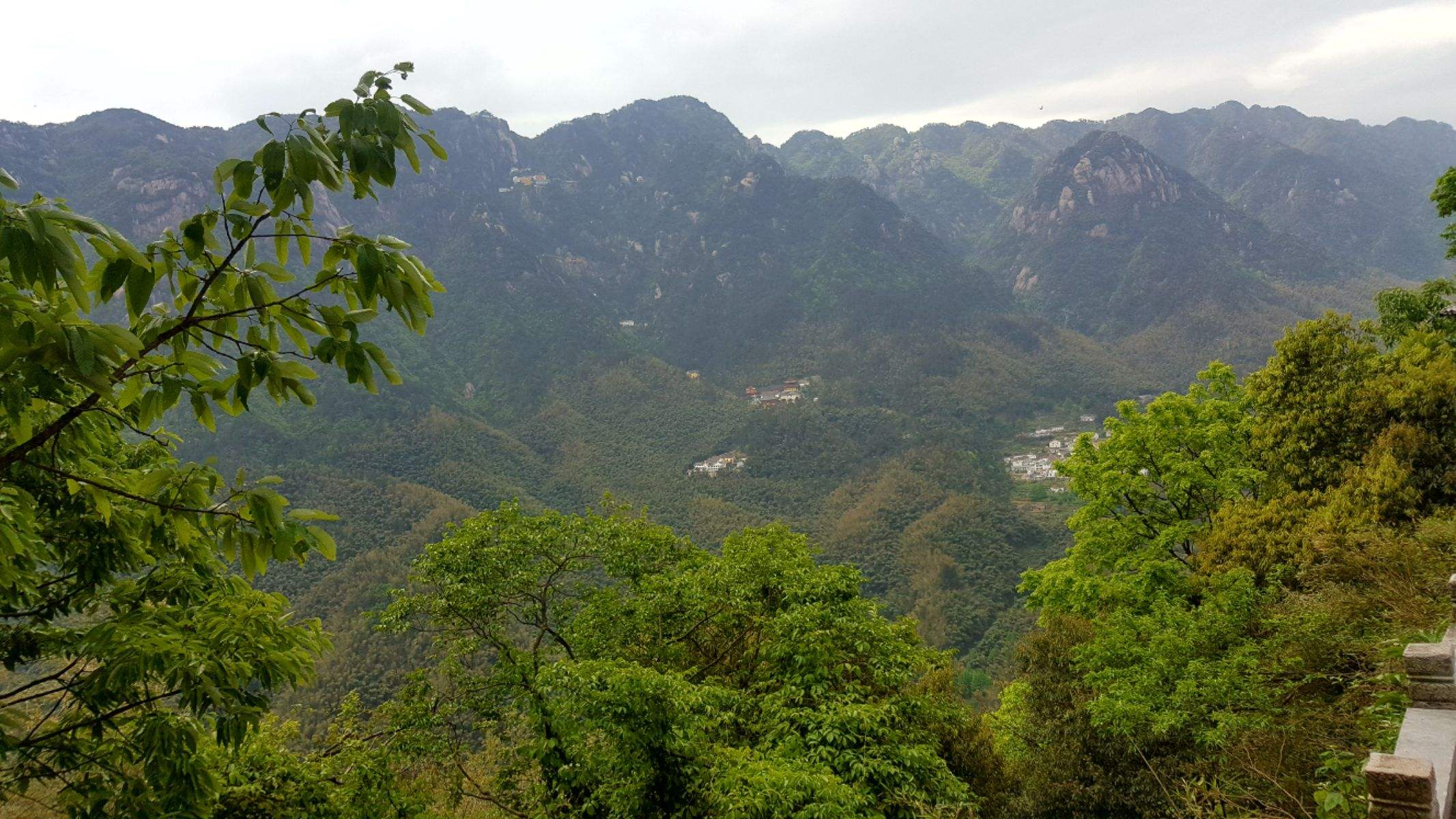 九华山爬到山顶要多久(九华山爬上去要几个小时)