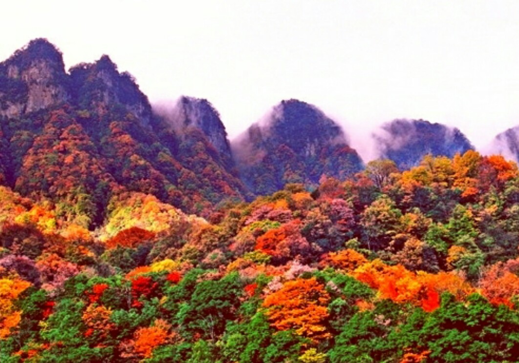 光雾山风景区(光雾山门票多少钱一张)