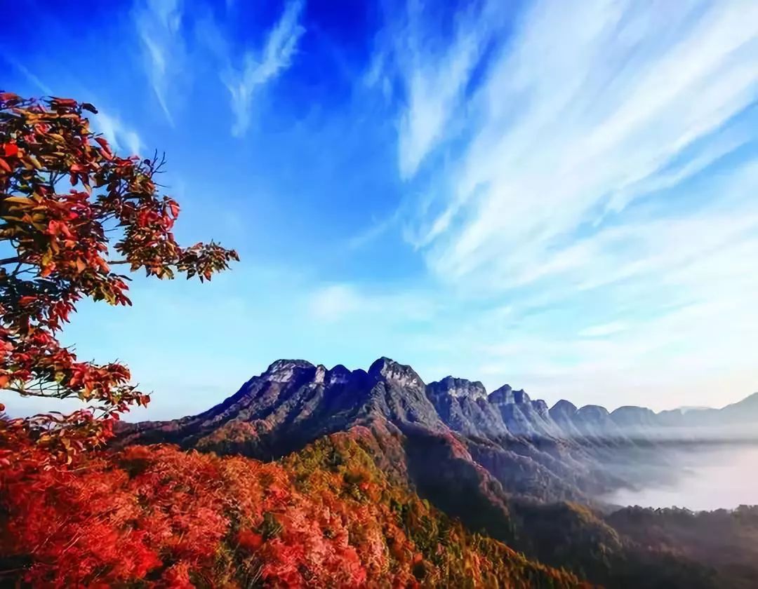 光雾山风景区(光雾山门票多少钱一张)