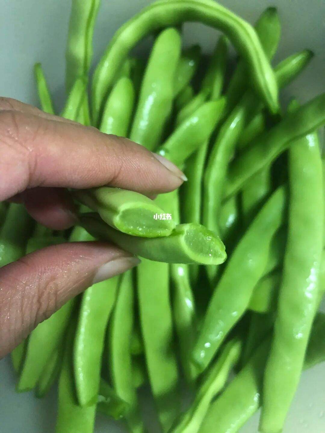 芸豆和豆角的区别(芸豆和豆角哪个营养价值高)