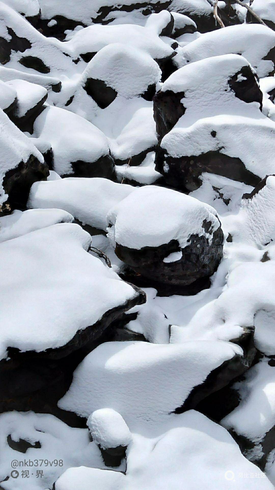 北方大雪(北方大雪节气吃什么食物)