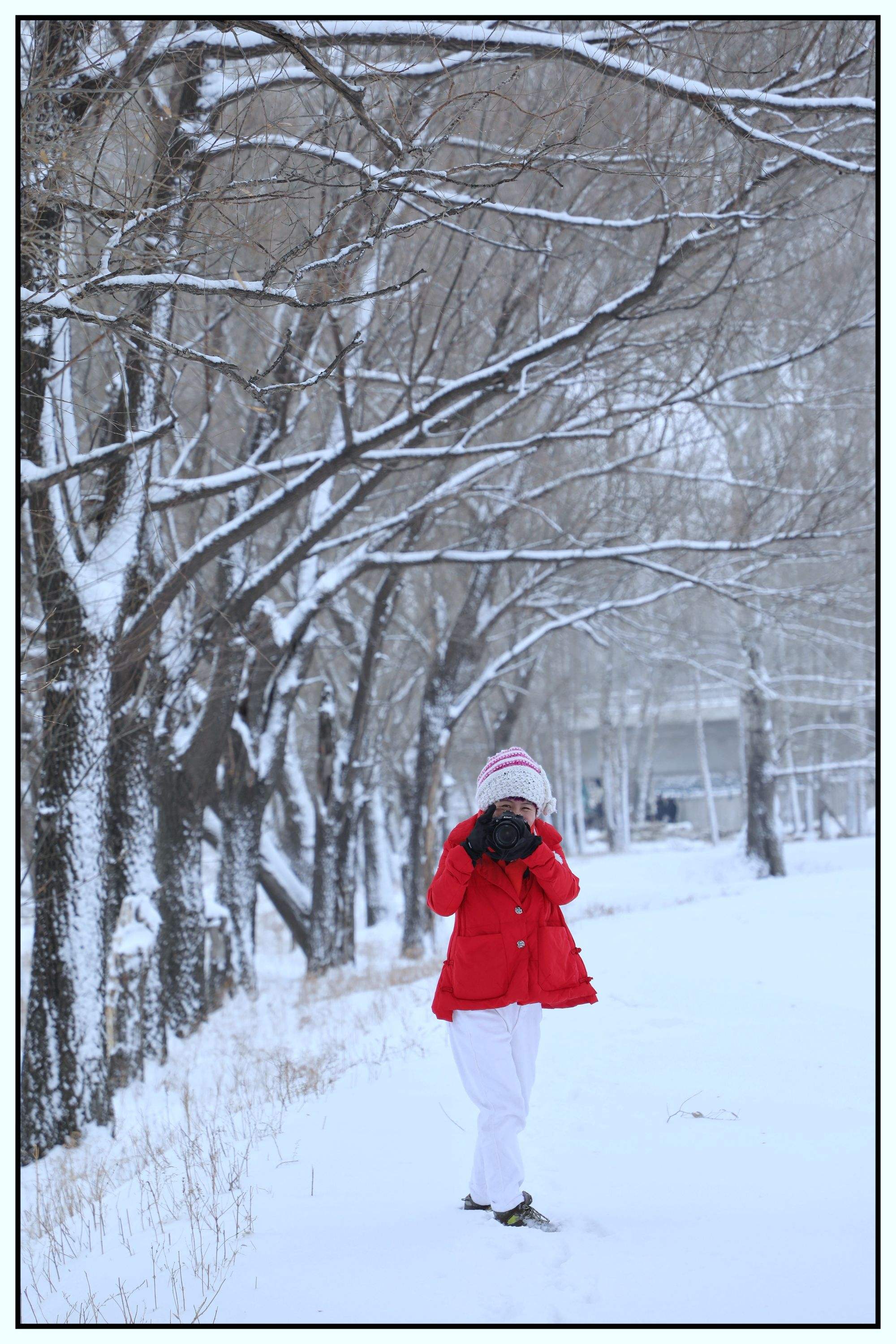 北方大雪(北方大雪节气吃什么食物)