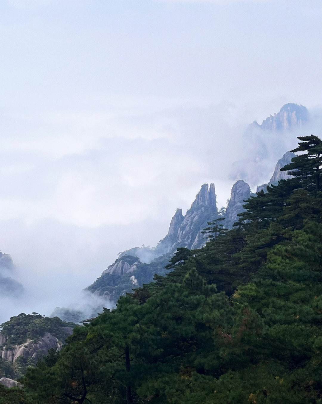 黄山旅游官方平台(黄山旅游官方平台正式上线)