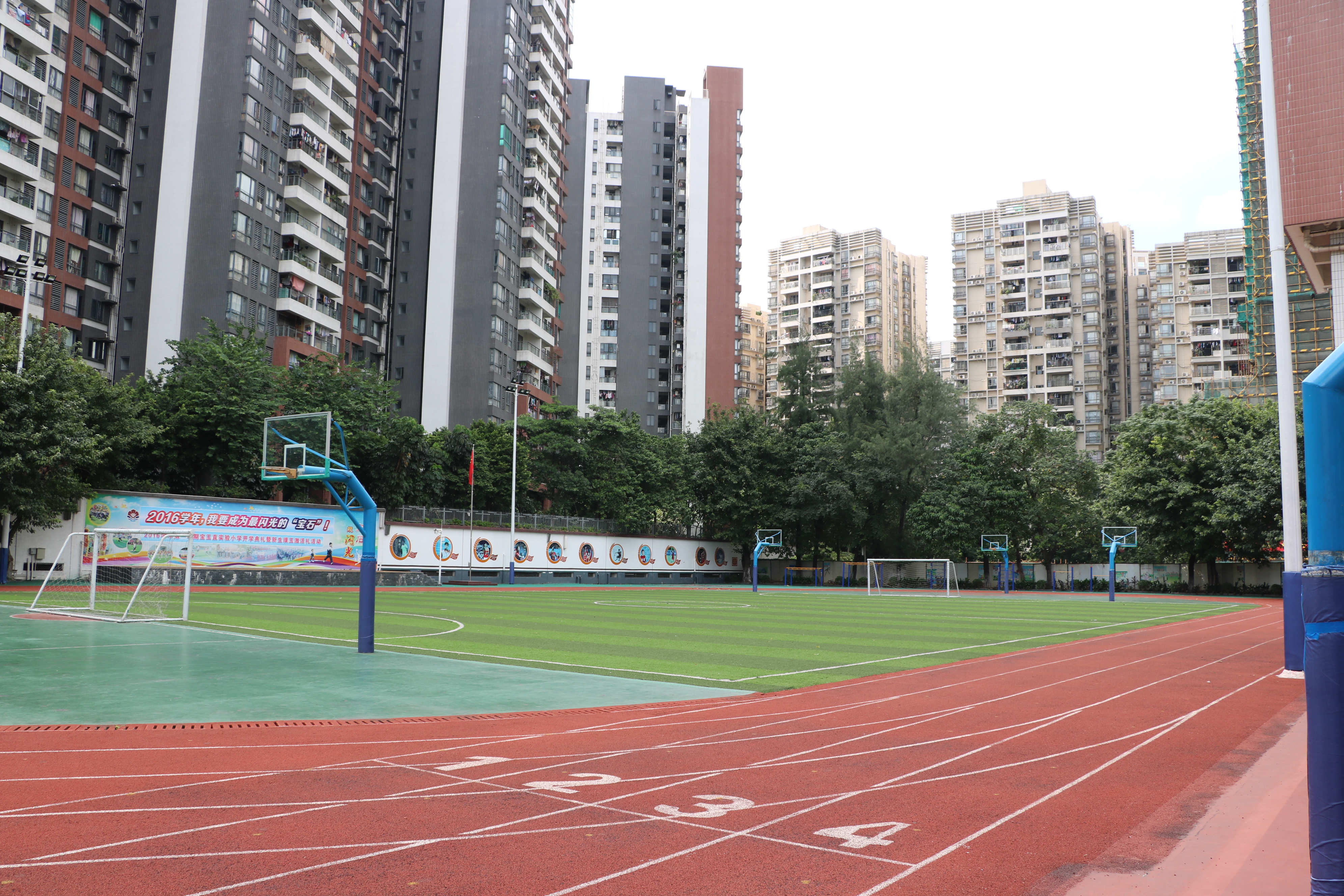 实验小学(实验小学校长)