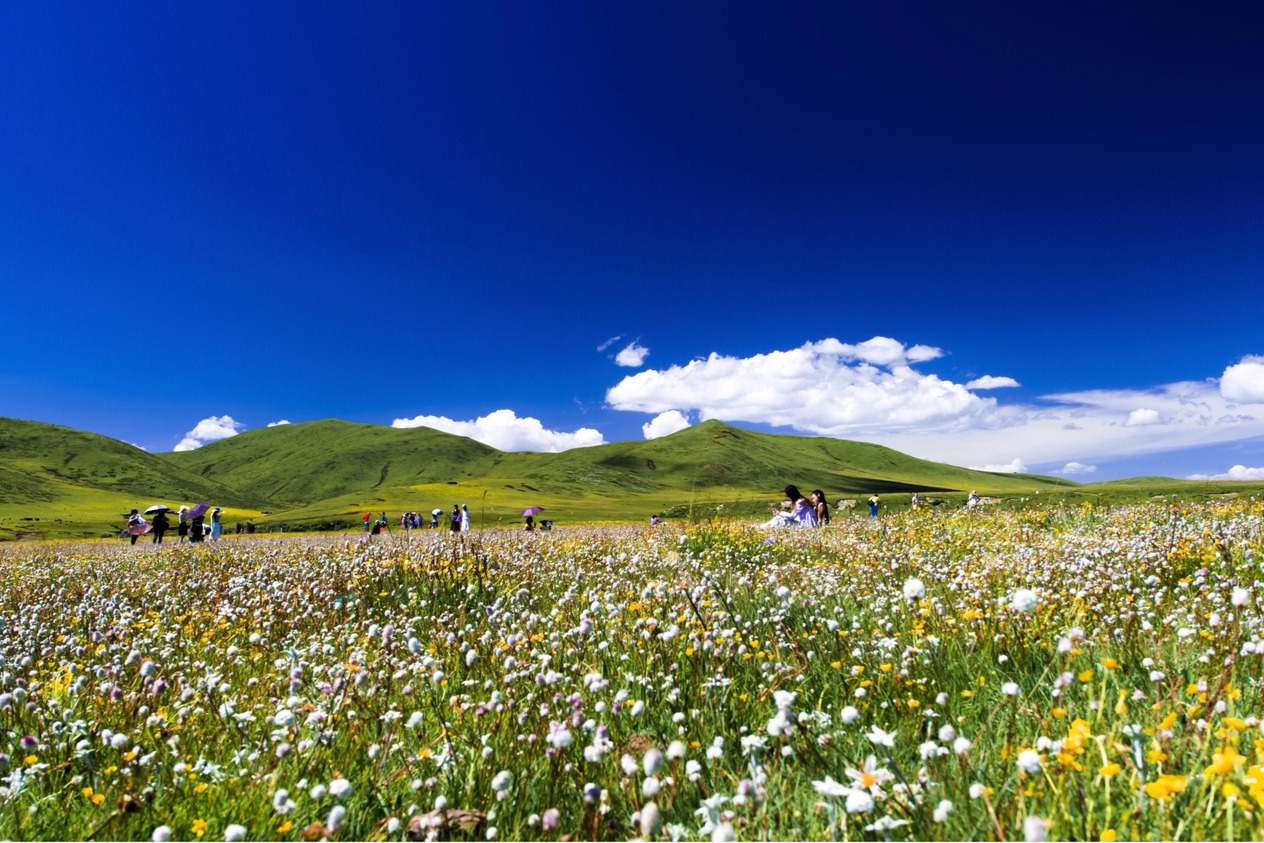 6月旅游国内最佳地排名(十大6月国内旅游最佳去处)