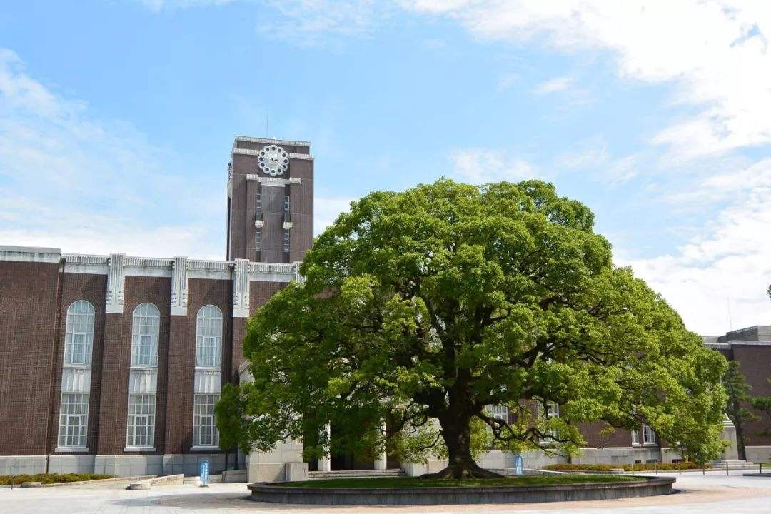 日本前30名大学(日本前30名大学排名榜)