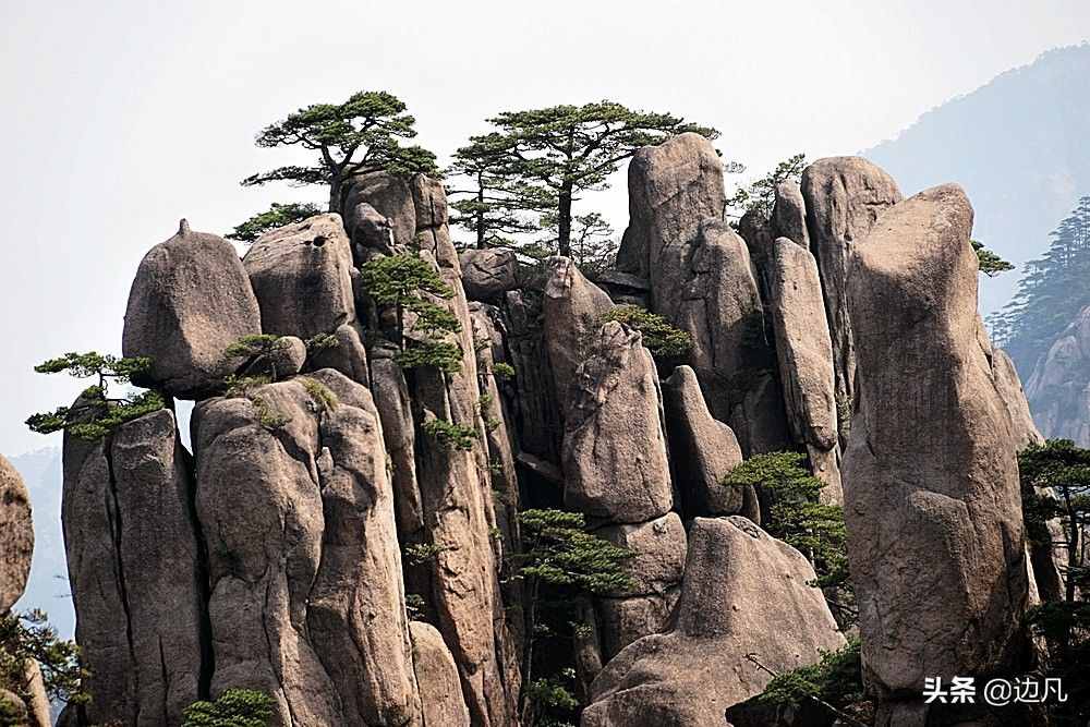 安徽黄山的资料(安徽黄山的资料有哪些)