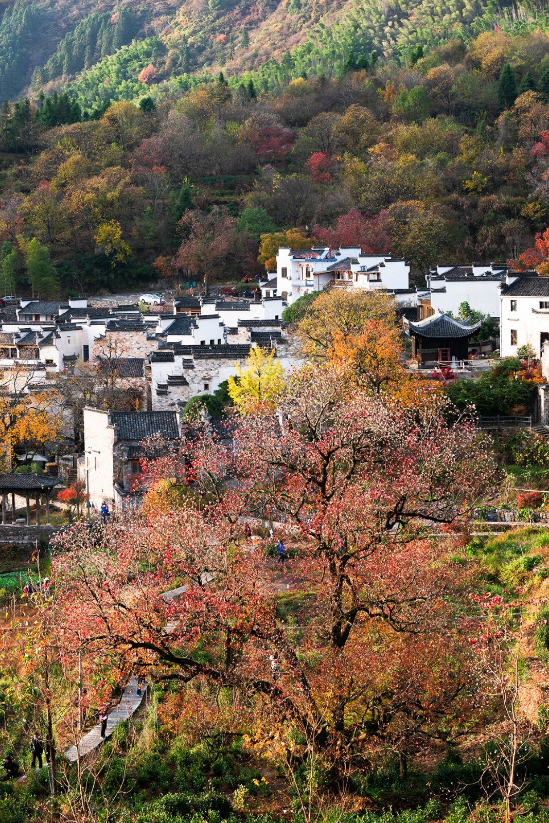 安徽旅游攻略必玩的景点 安徽旅游攻略必玩的景点有哪些