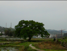 安稳镇天气预报 