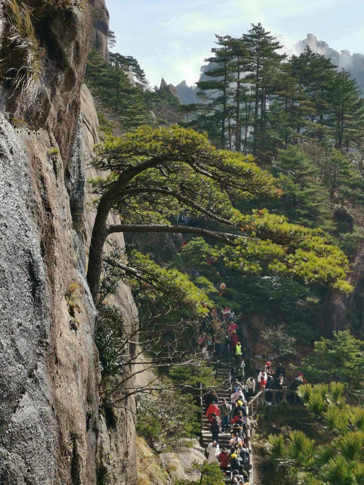 安徽黄山春节开放吗 