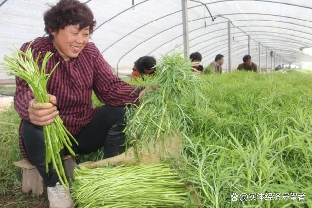 在农村如何赚钱 在农村如何赚钱比较快