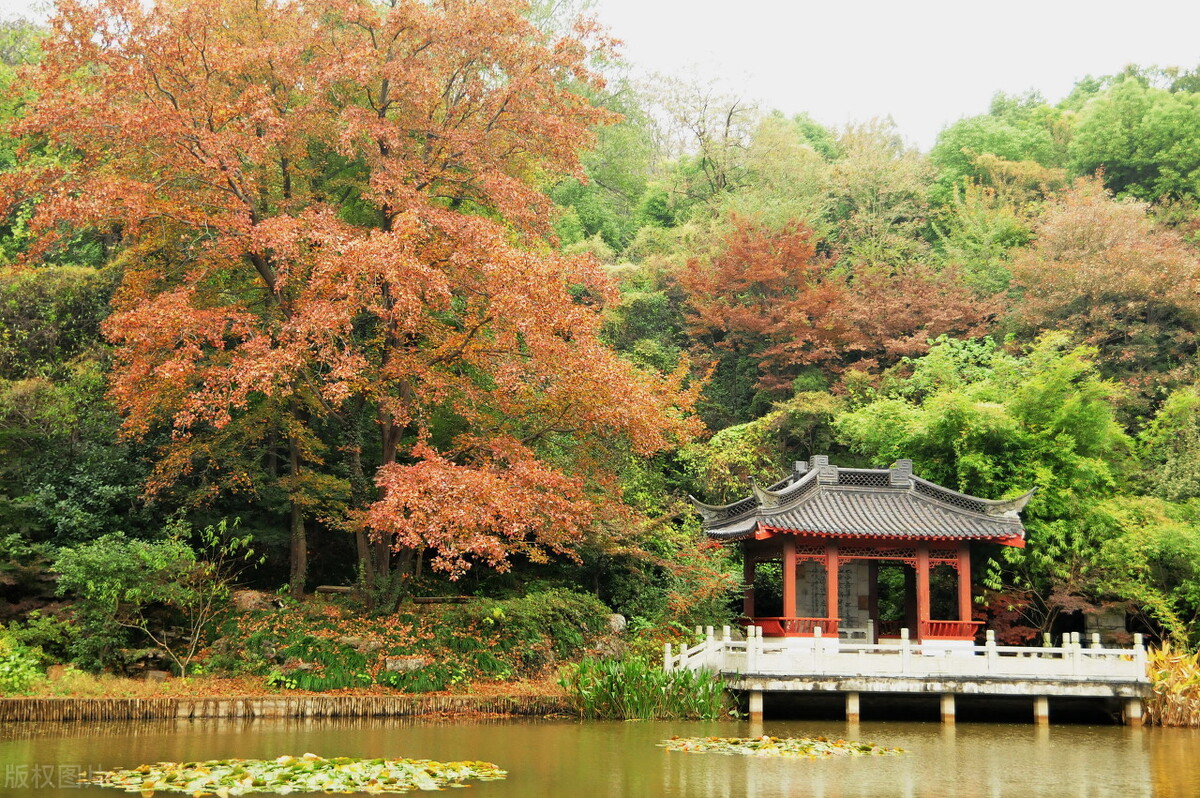 南京周边旅游景点大全 南京景点大全景点排名榜