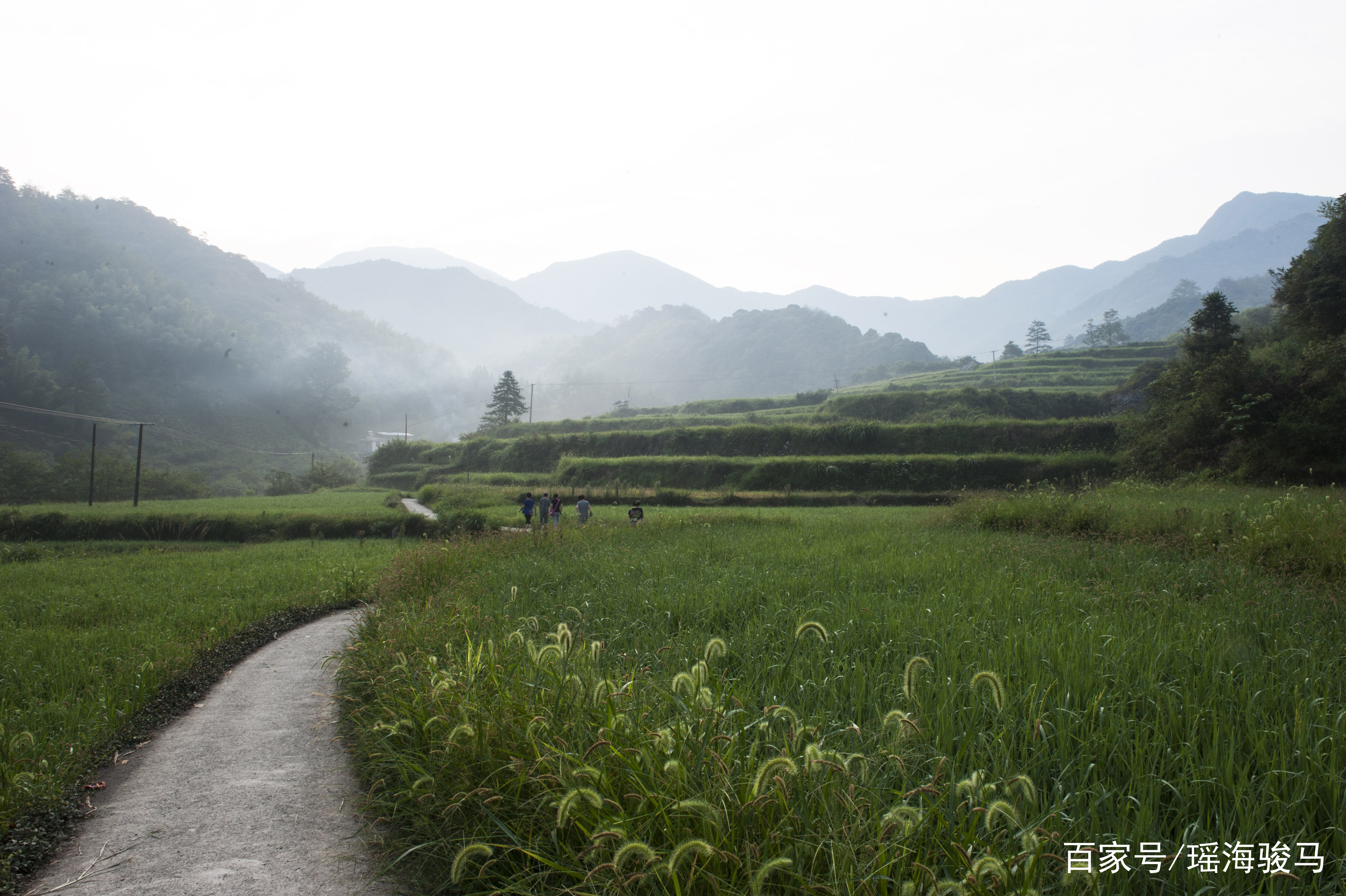 安徽大山村 