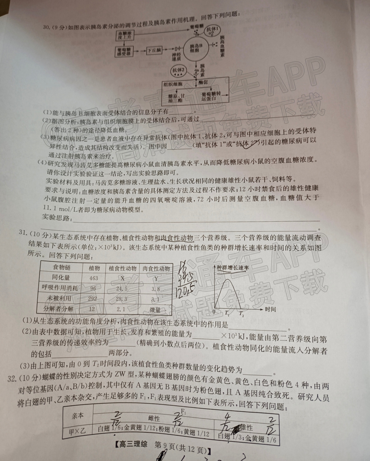 全国卷1为什么叫乙卷 全国卷一卷乙卷什么意思