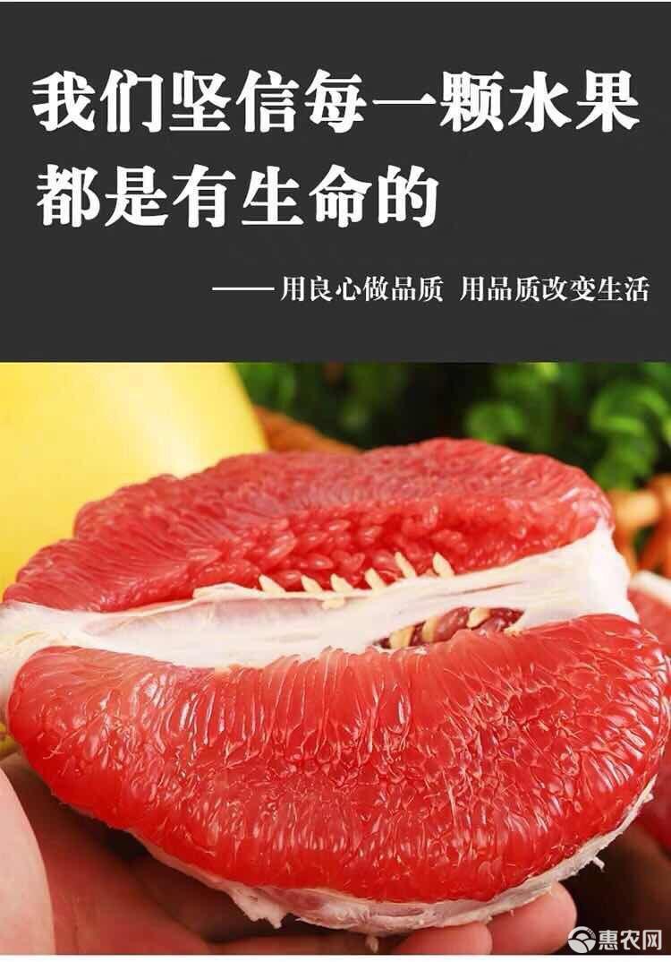 红肉蜜柚 