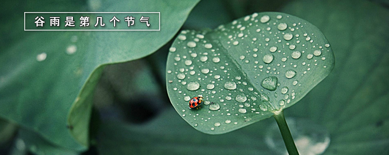 北方谷雨 北方谷雨气温最低一般多少度