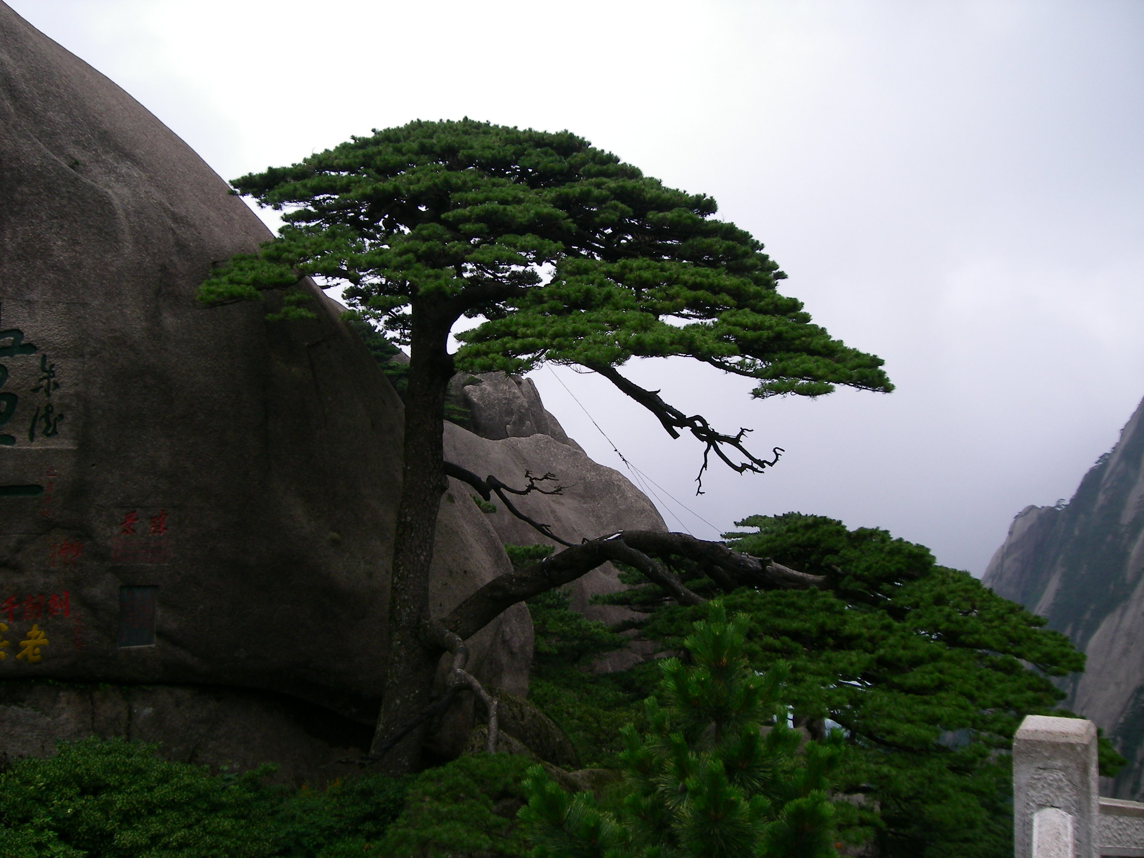 黄山有哪些著名的景点 