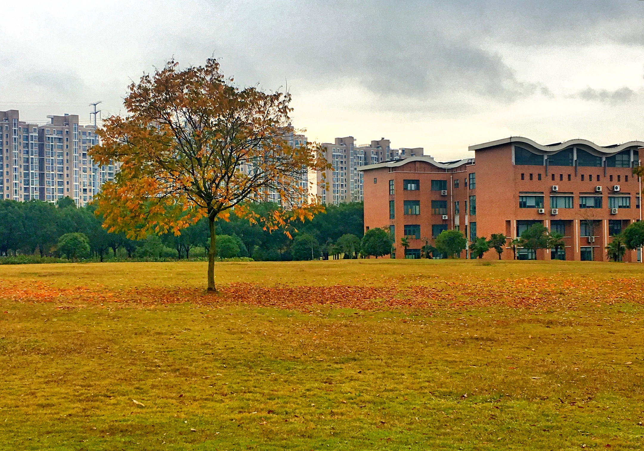 浙江师范大学 浙江师范大学是985还是211大学