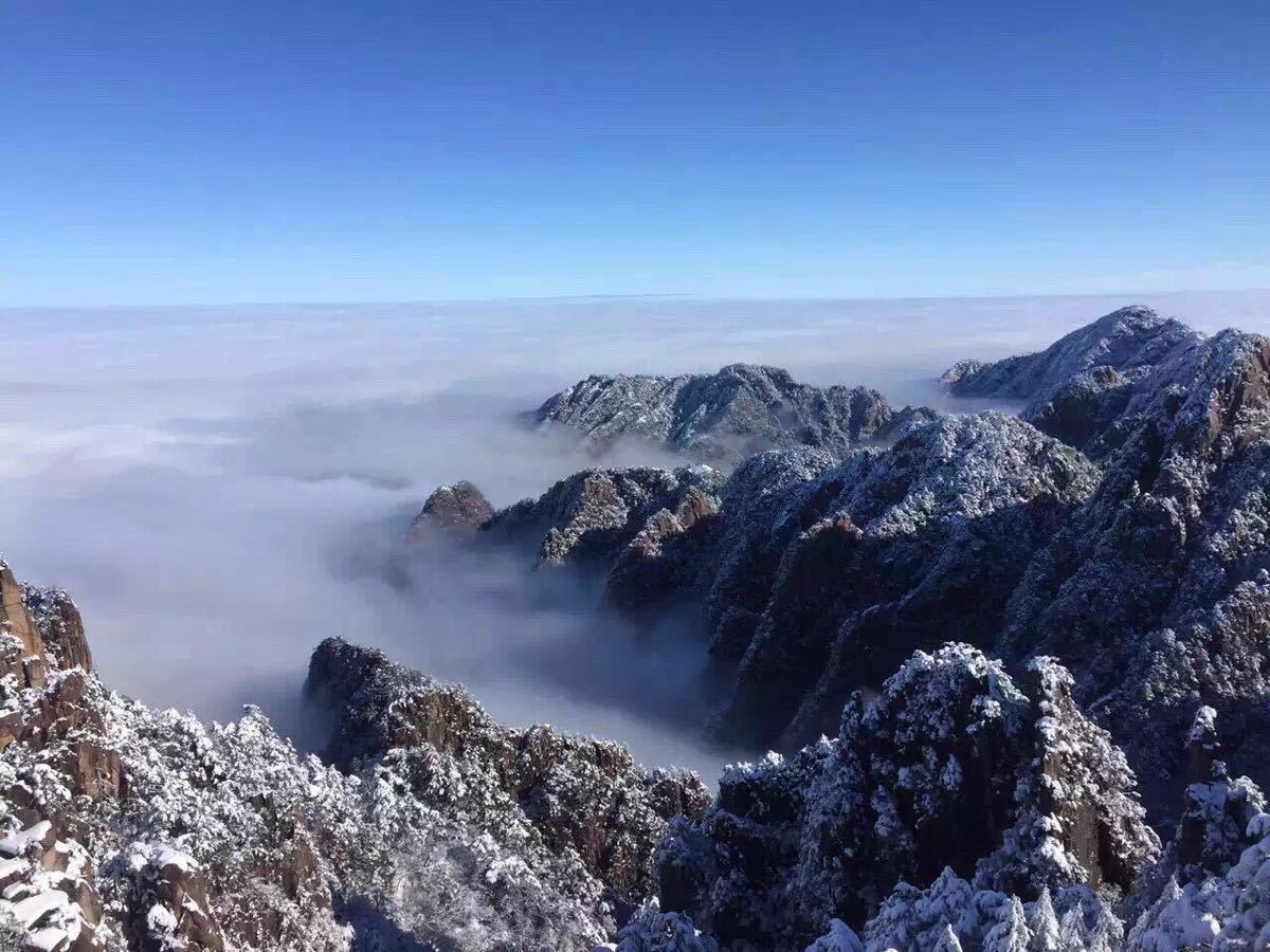 黄山和张家界哪个更值得去 黄山和张家界哪个更值得去知乎