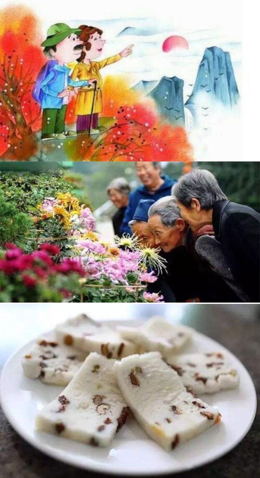 重阳节饮酒饮的是什么酒 