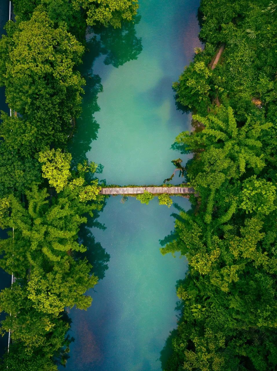 适合夏天旅游的地方有哪些 8月份适合带娃儿旅游的地方