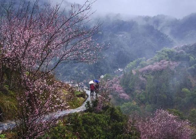 歙县踏青必去之地 