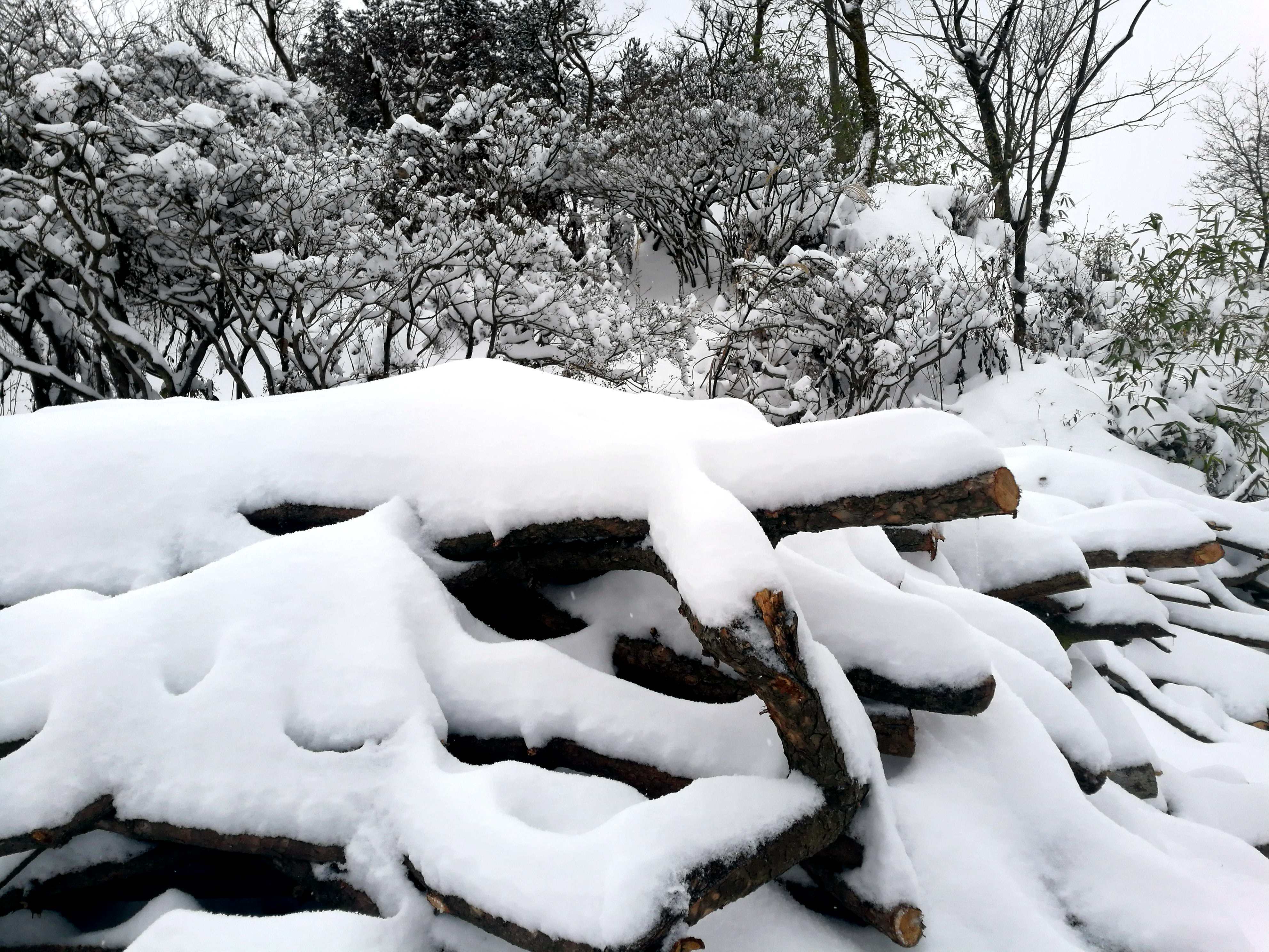 合肥下雪 