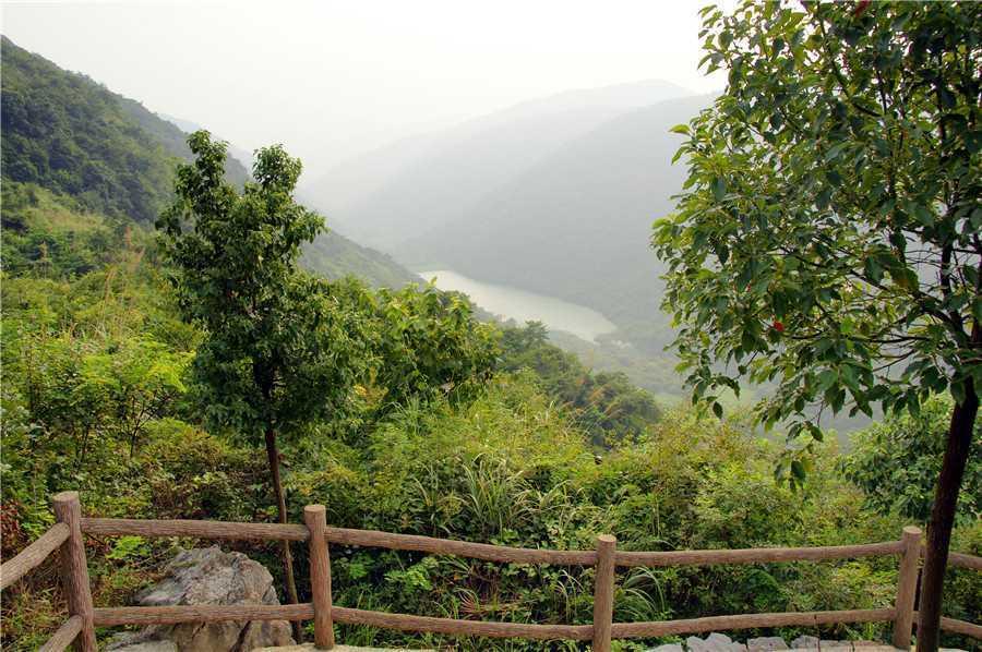 安徽省芜湖市何湾镇南陵县丫山村 