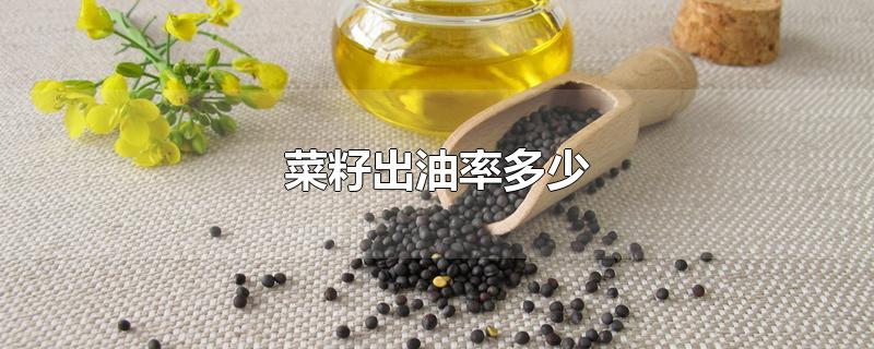 油菜籽出油率 油菜籽出油率是多少?