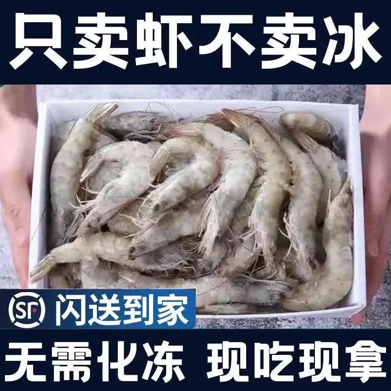 青岛对虾论只卖 青岛对虾图片大全