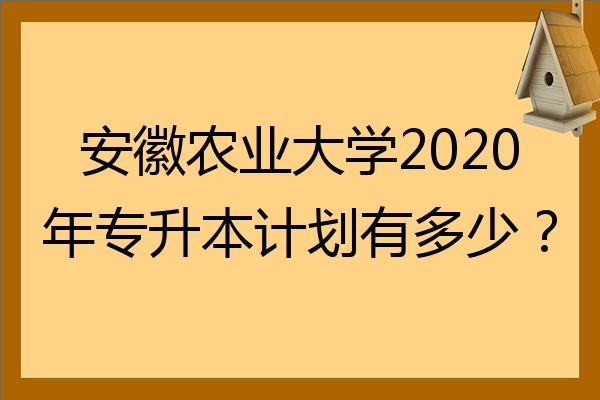 2022安徽农业大学暑假 