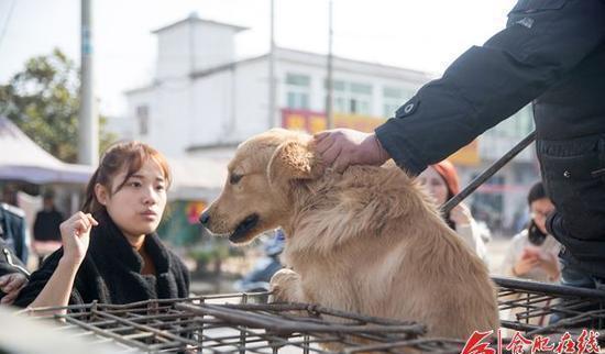 徽州宴老板娘撞死过人 