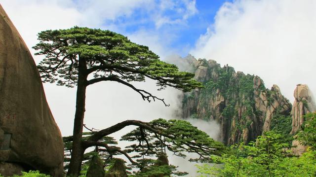 黄山现在开放吗 黄山景点是否开放