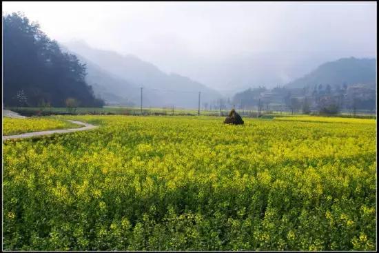 歙县跟枞阳县哪个穷 歙县到枞阳县多少公里