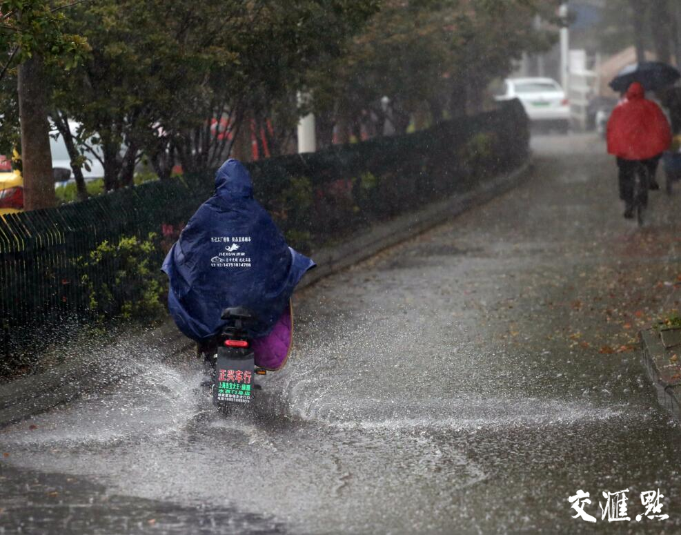 南京大雨最新新闻 南京大雨最新新闻联播